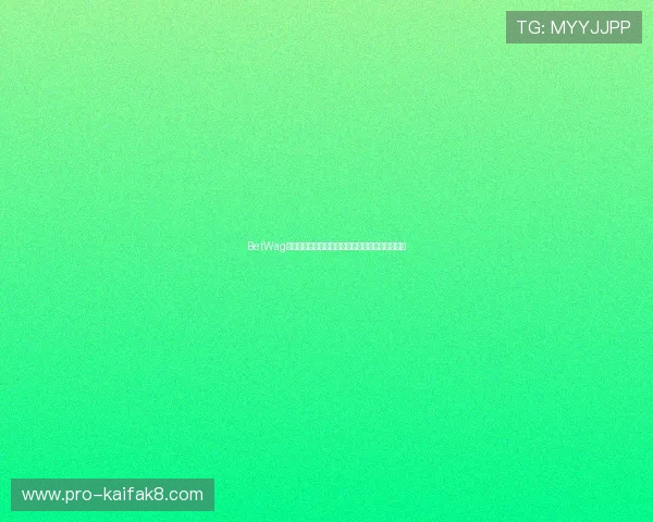 BetWag如何结合大数据技术提升世界杯赛事的预测准确性 BetWag如何结合大数据技术提升世界杯赛事的预测准确性